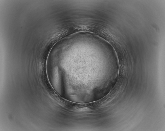 X0000112810747200909041454