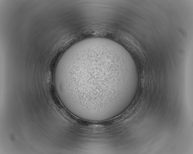 X0000112810748200909041454