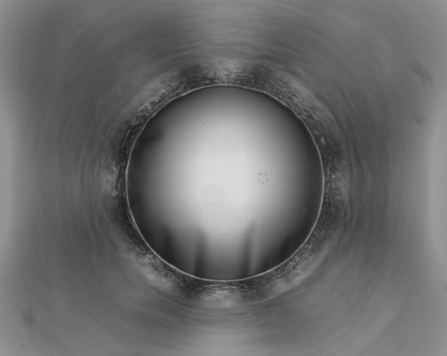 X0000112810750200909041454