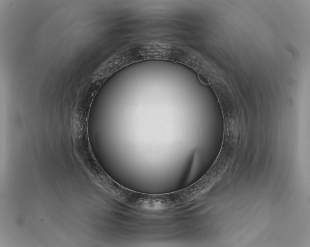 X0000112810751200909041454