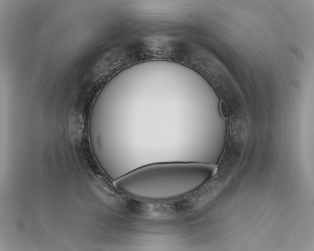 X0000112810752200909041454