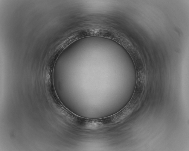 X0000112810754200909041454