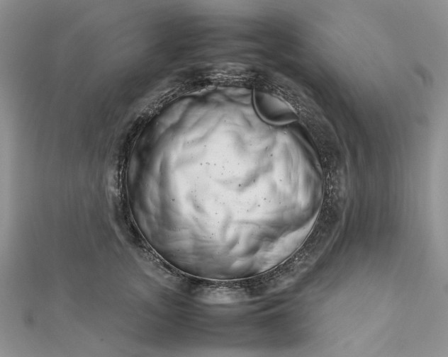 X0000112810755200909041454