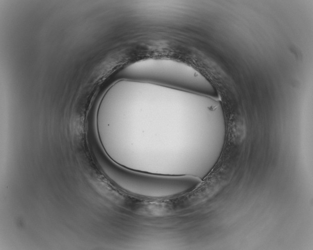 X0000112810756200909041454