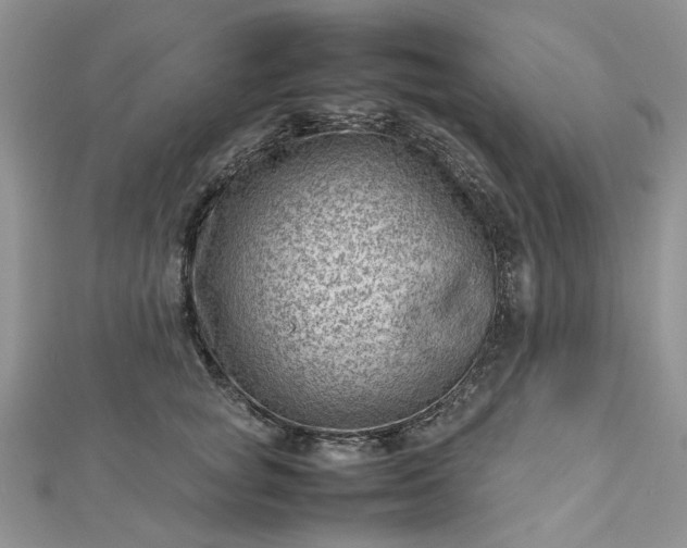 X0000112810757200909041454