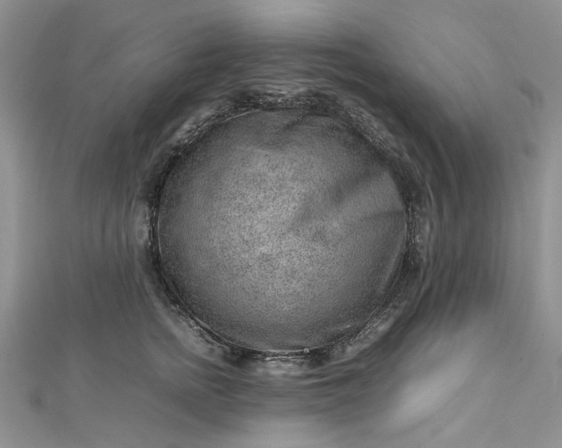 X0000112810758200909041454