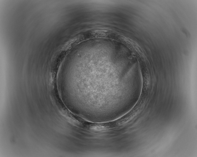 X0000112810759200909041454