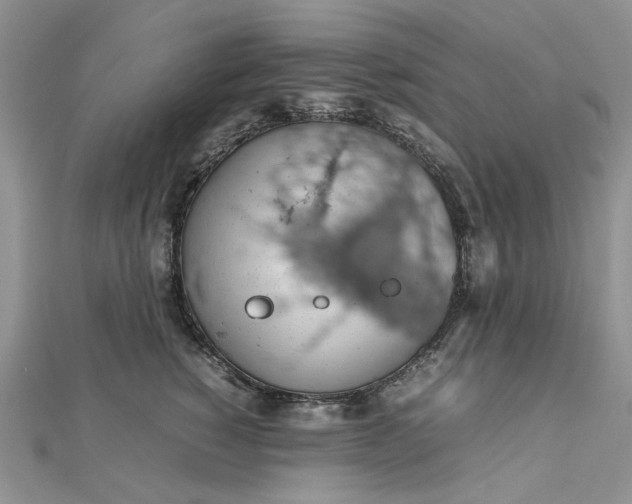 X0000112810760200909041454