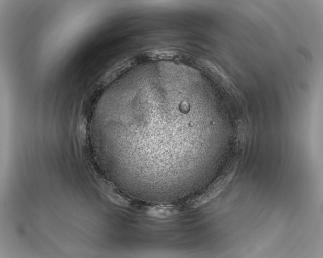 X0000112810761200909041454