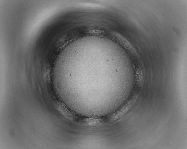 X0000112810762200909041454