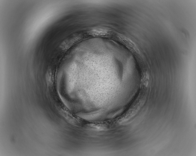 X0000112810763200909041454