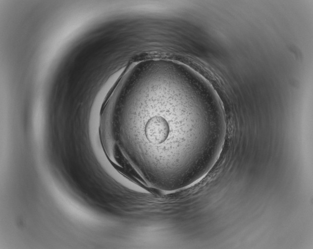 X0000112810764200909041454