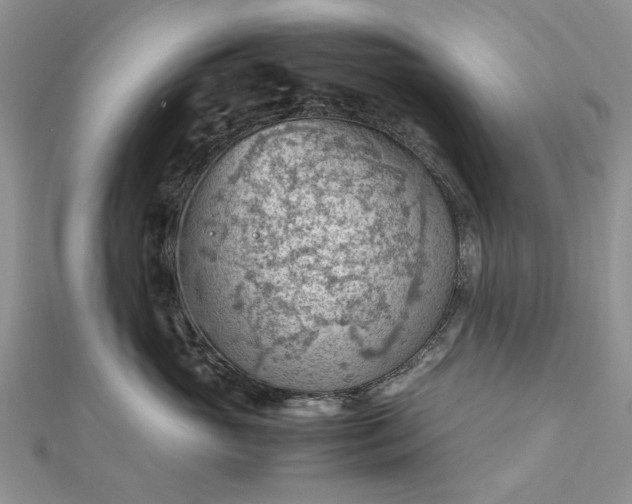 X0000112810765200909041454