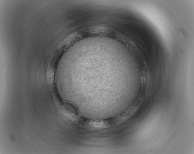 X0000112810767200909041454