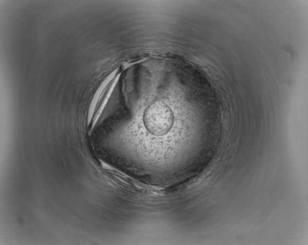 X0000112810768200909041454