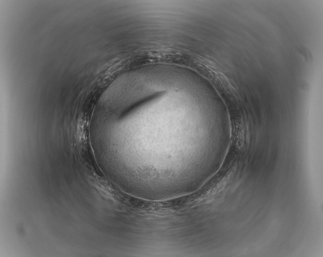 X0000112810770200909041453