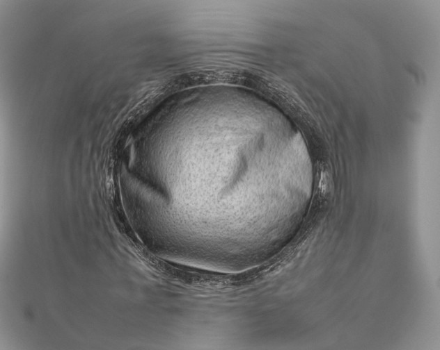 X0000112810771200909041453