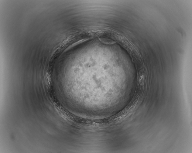 X0000112810772200909041453