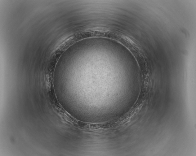 X0000112810774200909041453