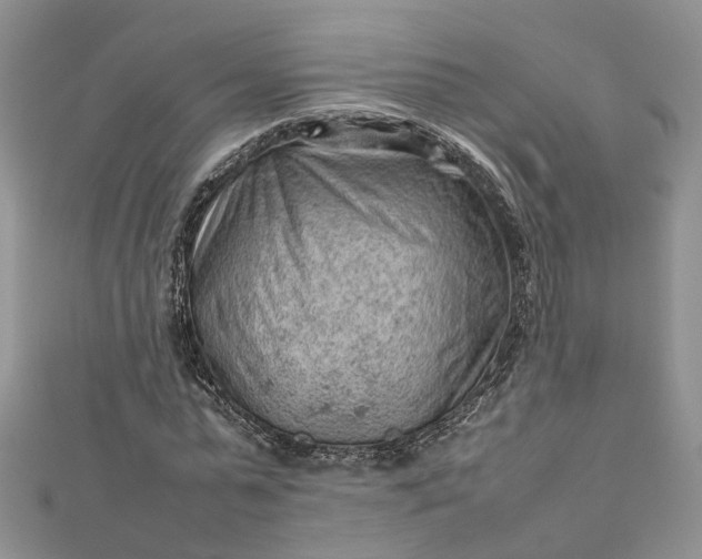 X0000112810775200909041453