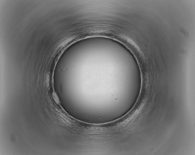 X0000112810777200909041453