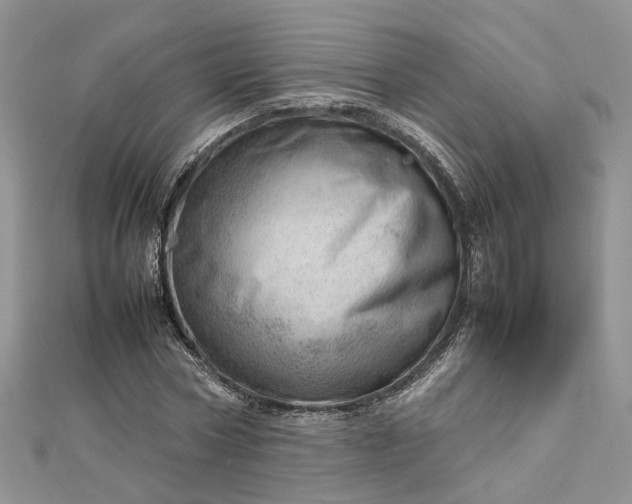 X0000112810778200909041453