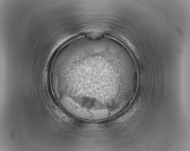 X0000112810779200909041453