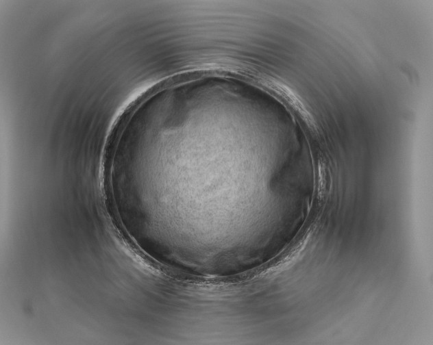 X0000112810780200909041453