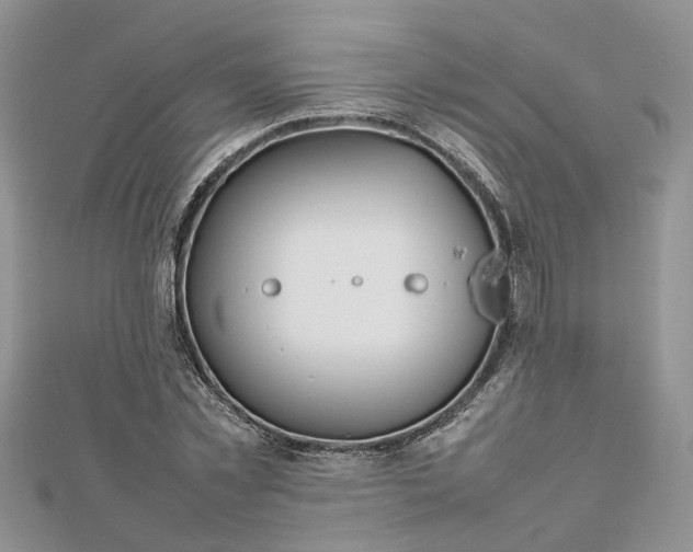 X0000112810781200909041453