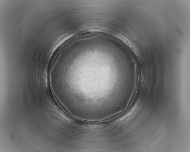 X0000112810782200909041453