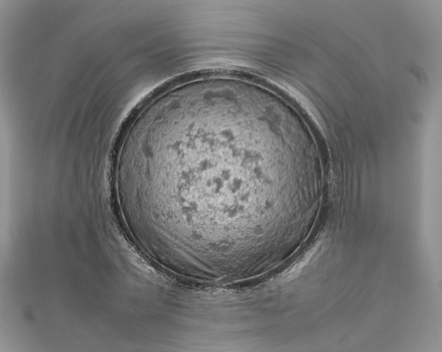 X0000112810783200909041453