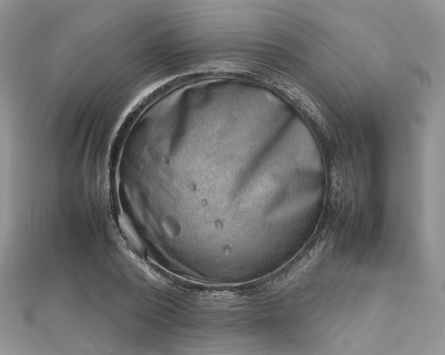 X0000112810784200909041453