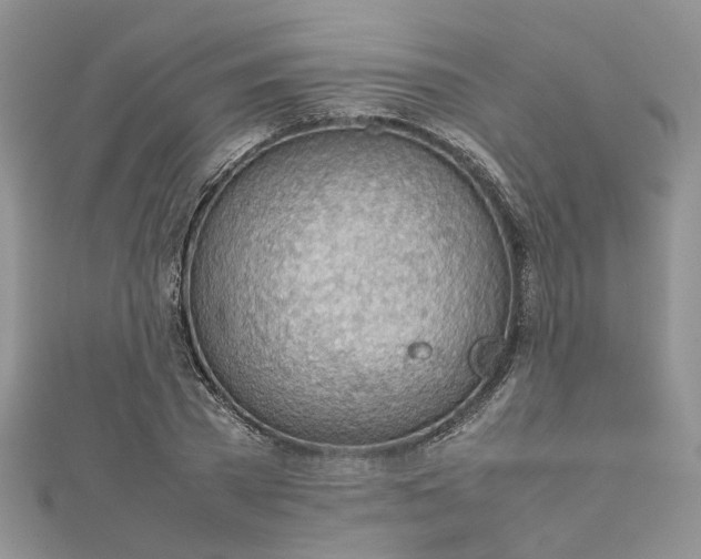 X0000112810785200909041453