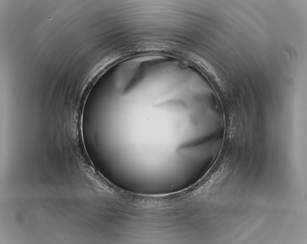 X0000112810786200909041453