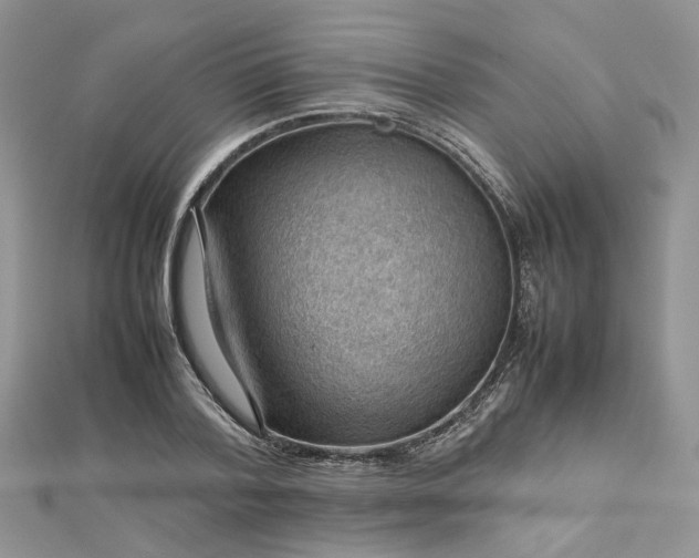 X0000112810788200909041453