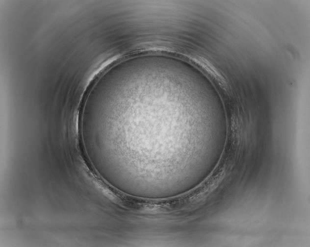 X0000112810790200909041453