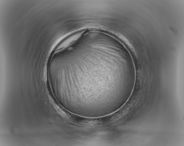 X0000112810791200909041453