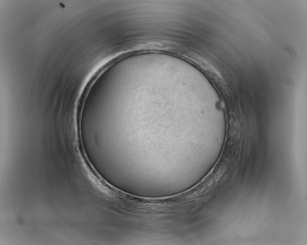 X0000112810792200909041453