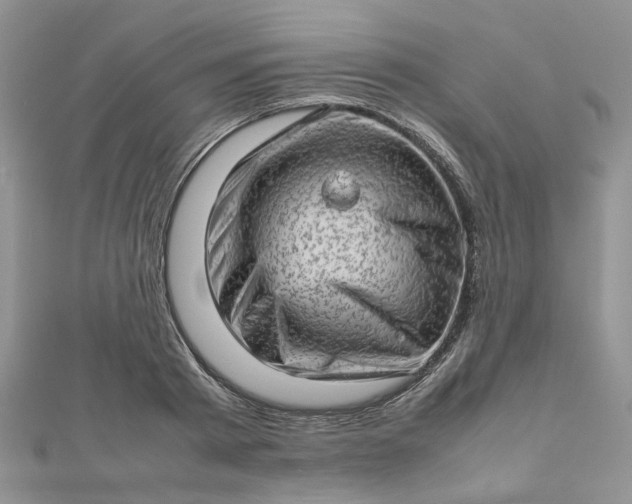 X0000112810793200909041453