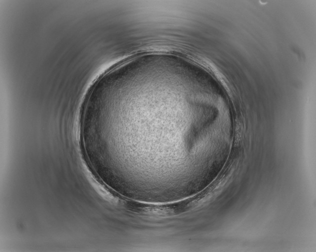 X0000112810795200909041453