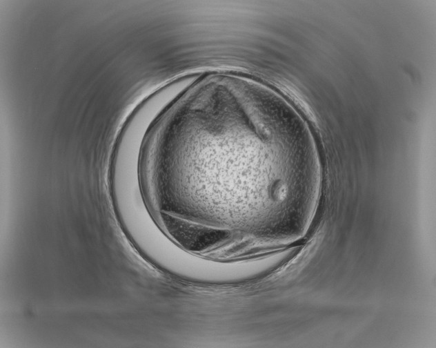 X0000112810797200909041453