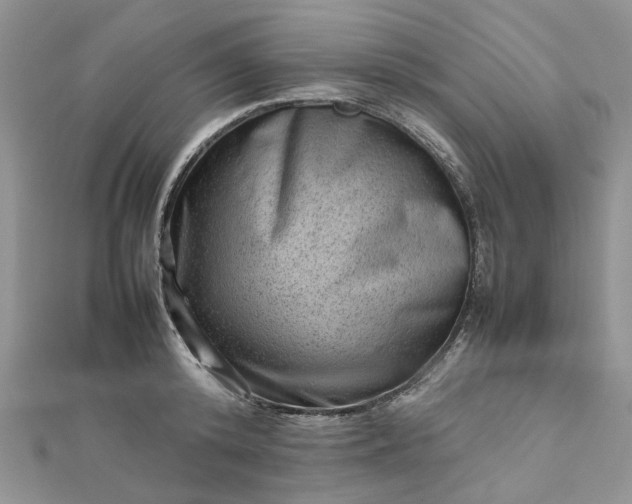 X0000112810800200909041453