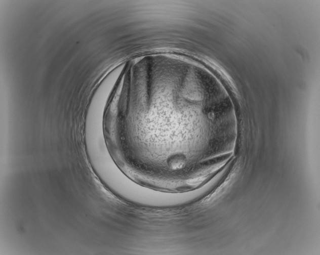 X0000112810801200909041453