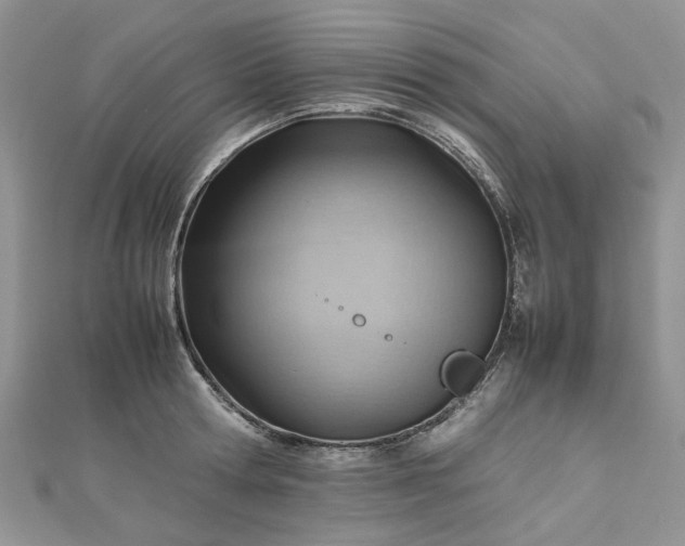 X0000112810802200909041453