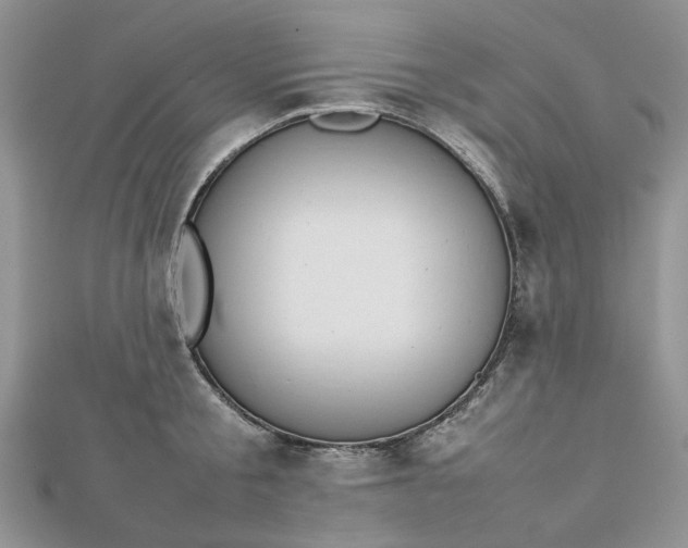 X0000112810805200909041453