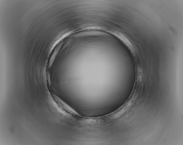 X0000112810806200909041453