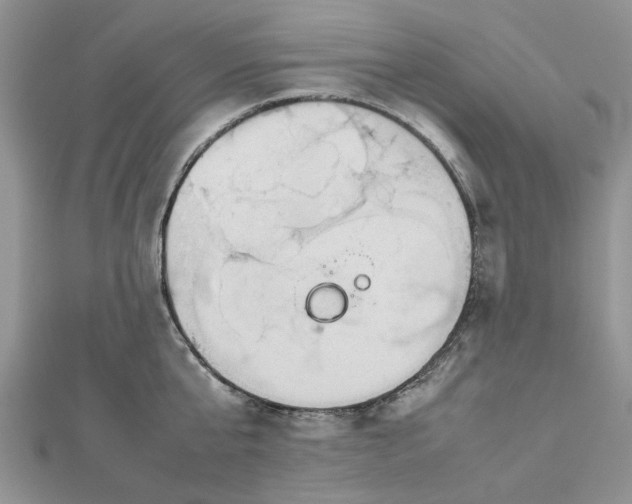 X0000112810807200909041453