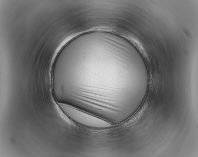 X0000112810808200909041453