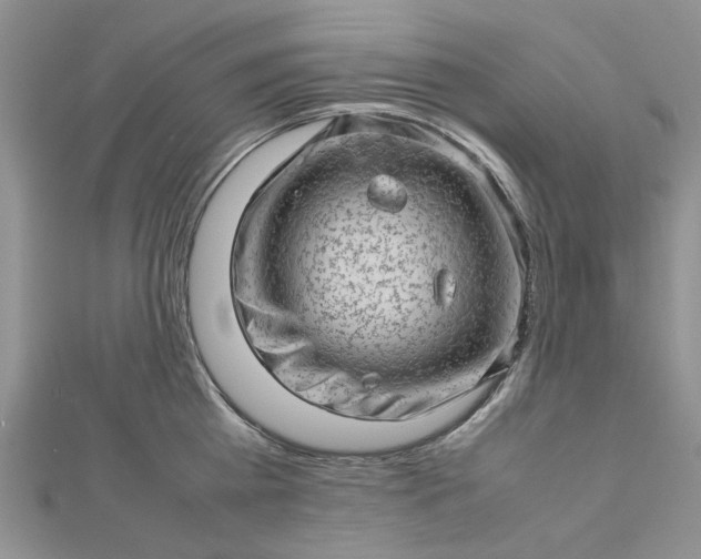 X0000112810809200909041453