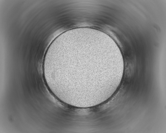 X0000112810810200909041453